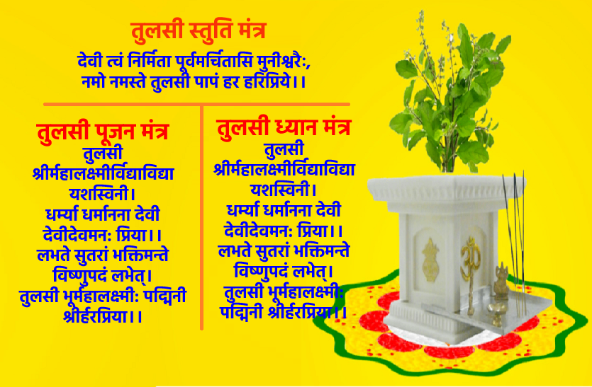 tulsi vivah and puja