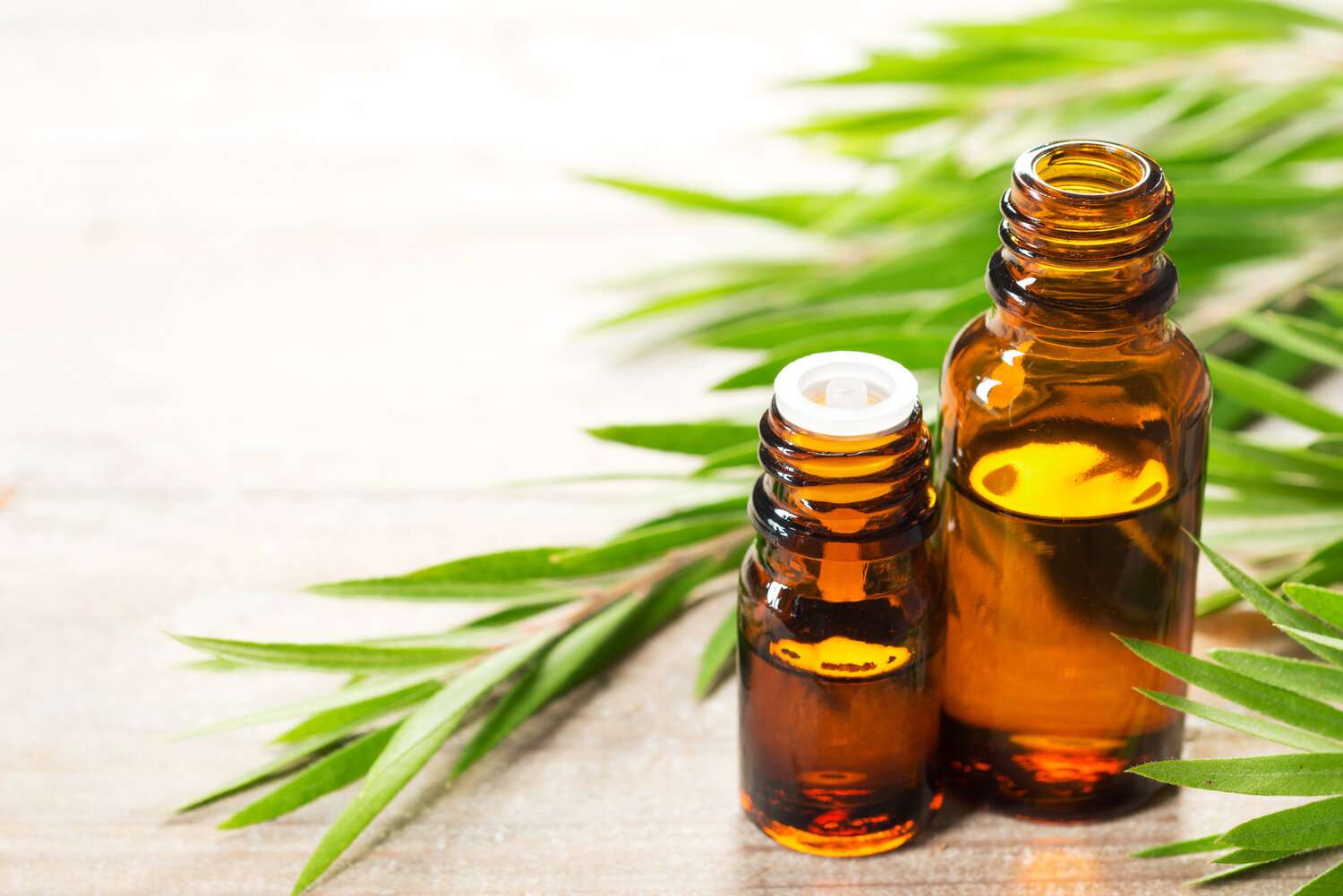 tea_tree_oil.jpeg