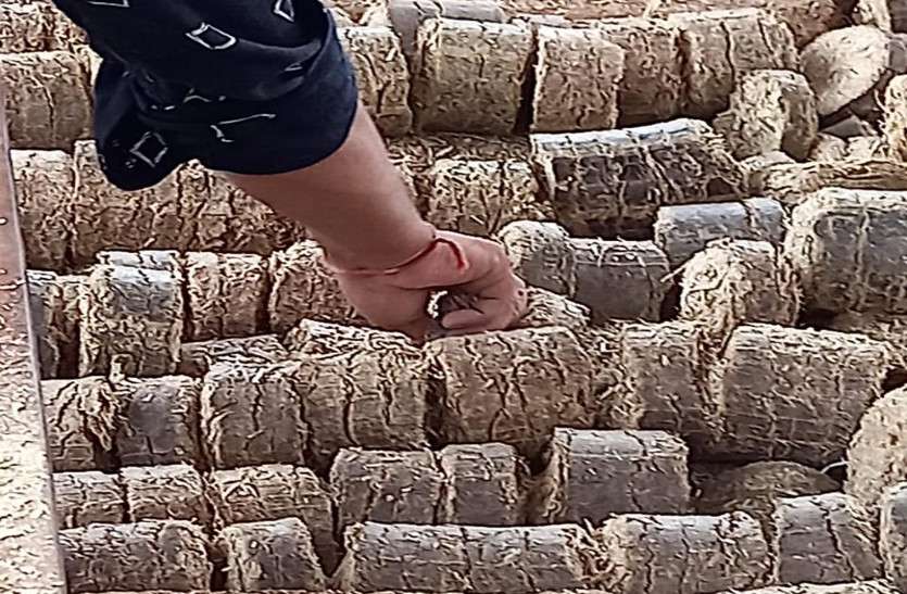 जलवायु परिवर्तन के खिलाफ जयपुर का गोमय परिवार, गोकाष्ठ से किए 250 से अधिक अंतिम संस्कार