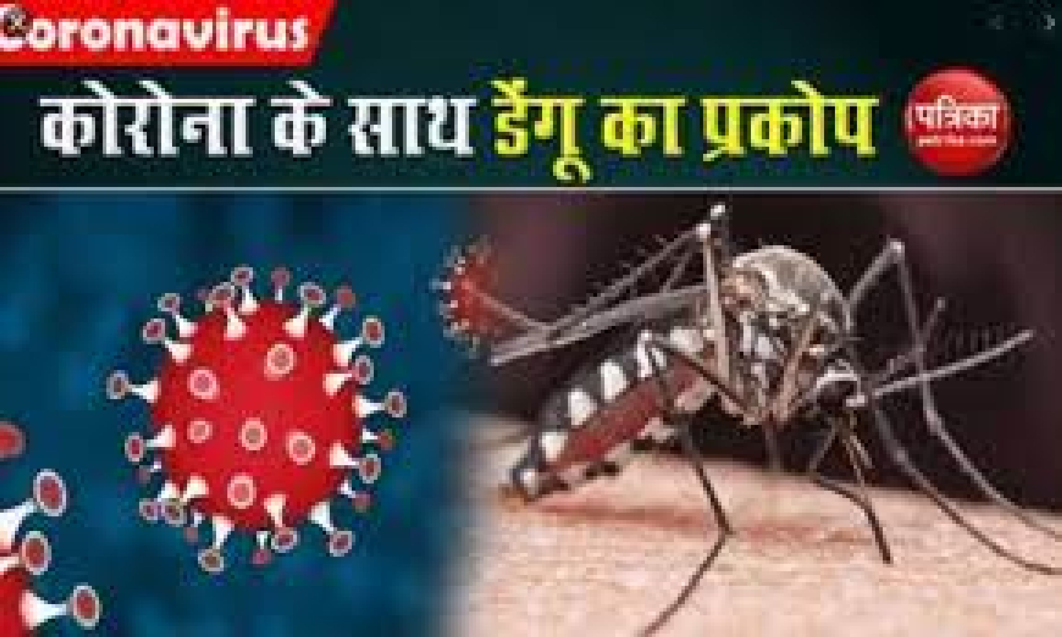 जोधपुर में सर्वाधिक डेंगू प्रतापनगर में, ग्रामीण क्षेत्र में लूणी रहा प्रभावित