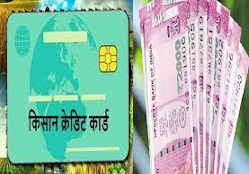 Kisan Credit Card Will Also be for Cattle Farmers