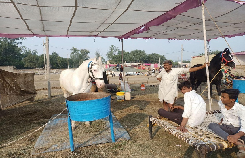 चंद्रभागा कार्तिक मेला अपनी अलग पहचान रखता है