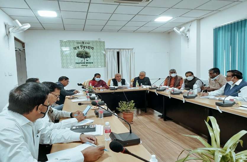 वन मंत्री ने दिए पौध वितरण लक्ष्य पूरा करने के निर्देश