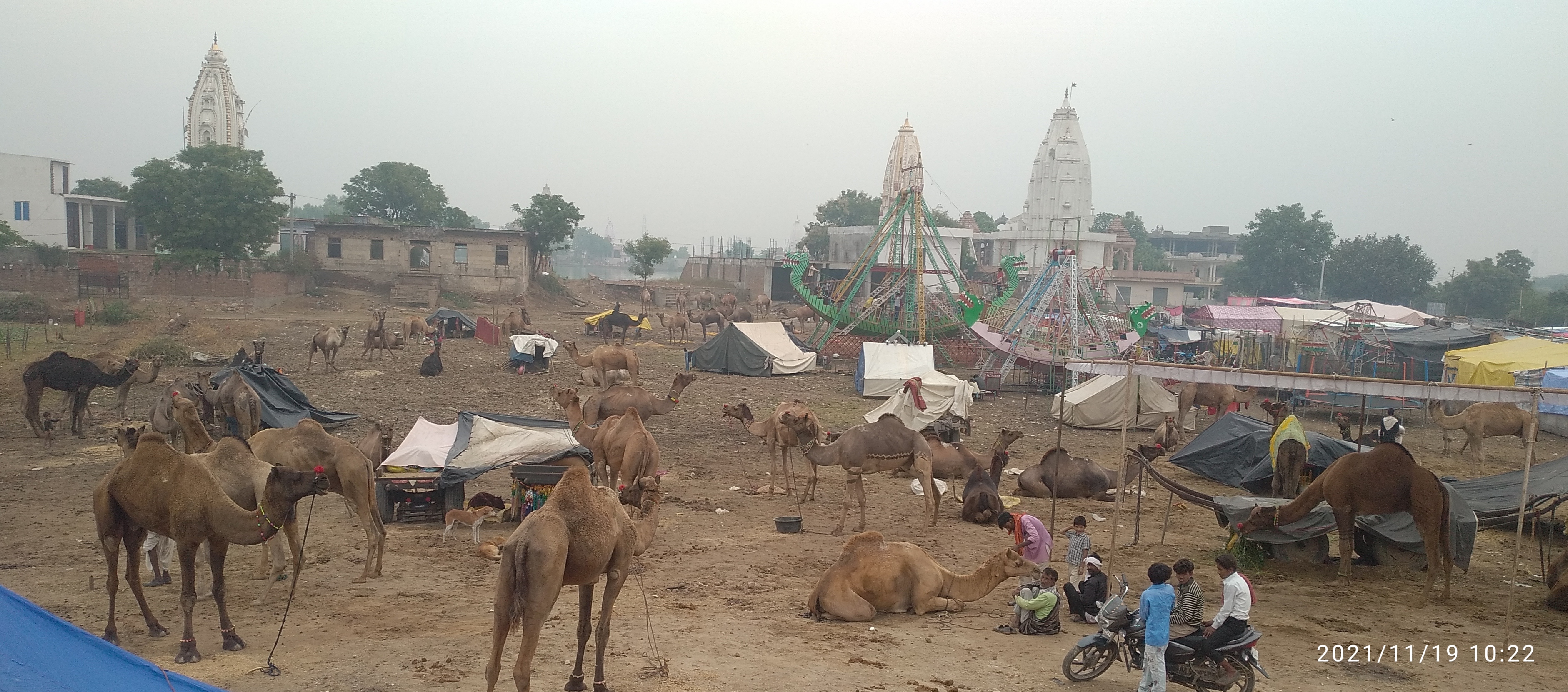 पूजा अर्चना के साथ मांडकला पशु मेला शुरू