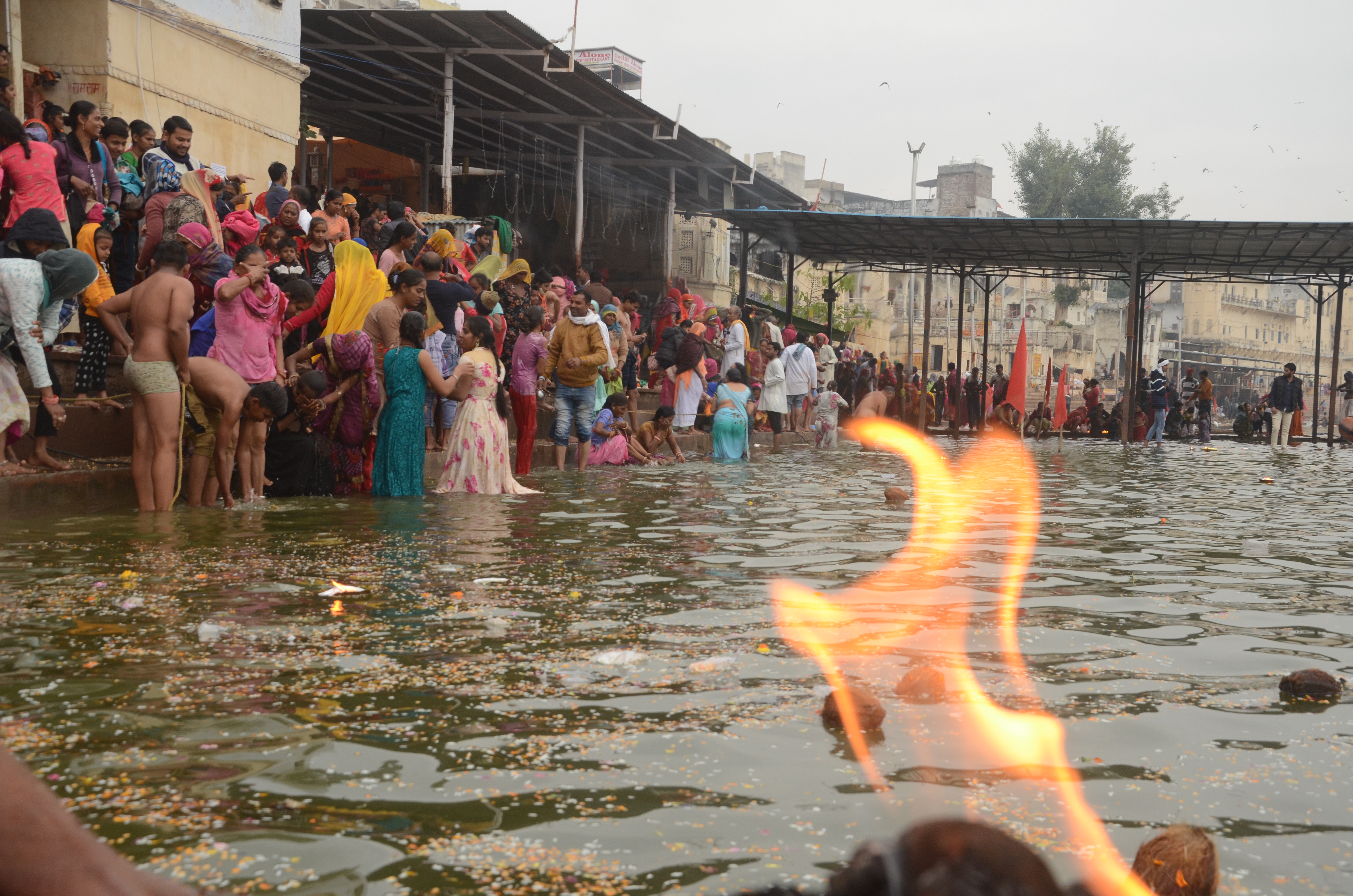 Pushkar Mela Rajasthan