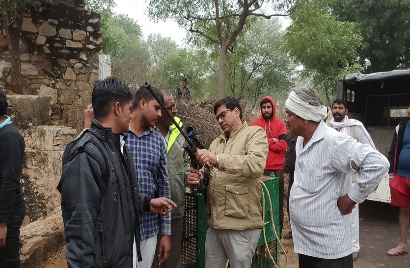 100 फीट गहरे कुएं में गिरे पैंथर को किया रेस्क्यू