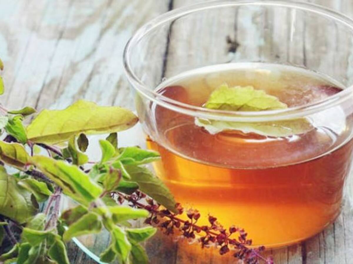 जानिए रोजाना  तुलसी की चाय पीने से स्वस्थ को  कितना नुकसान कितना फायदा