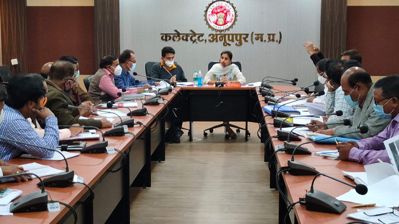 Collector reviews with nodal officers to complete targeted vaccination