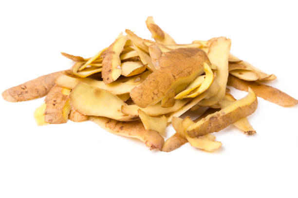 Benefits of Potato Peel: क्या आपको पता है आलू का छिलका आपके स्वास्थ्य के लिए कितना फायदेमंद होता है