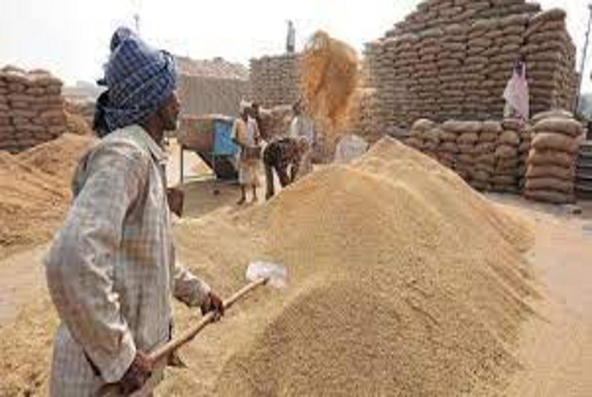 Arbitrariness in paddy purchase