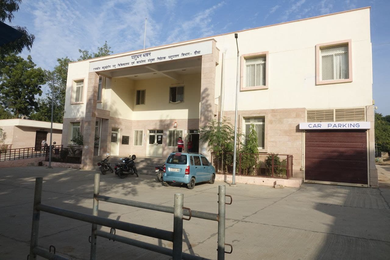 अब पशुपालन के लिए भी मिलेगी केसीसी की सुविधा, पशुपालकों को कम ब्याज पर मिल सकेगी पूंजी