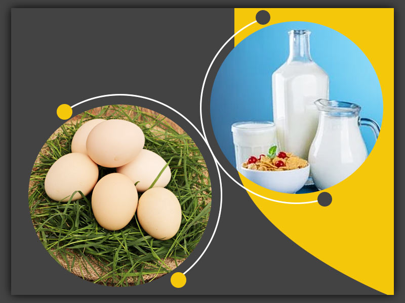 beneficial raw egg and milk is for health