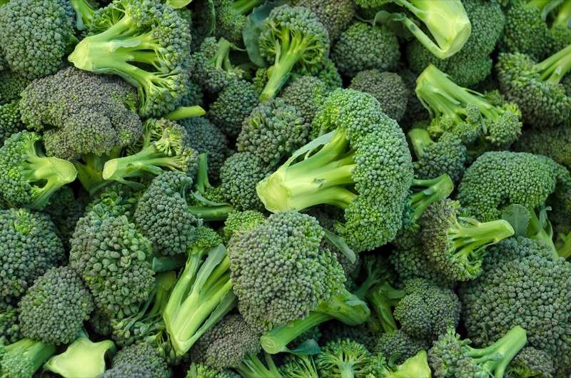 broccoli.jpeg