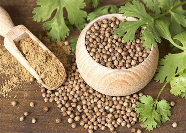 coriander_seeds.jpg