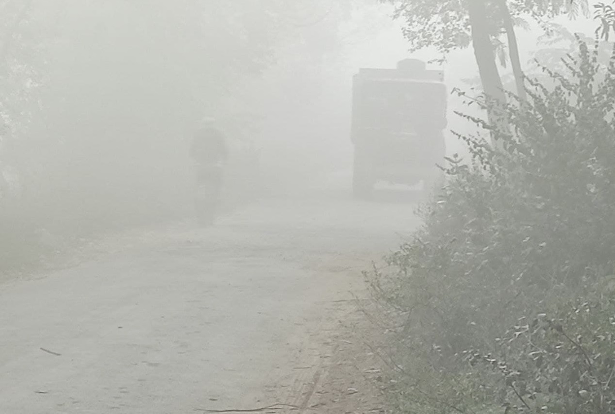 fog.jpg