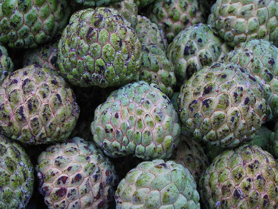 sugar_apple_seeds.jpg