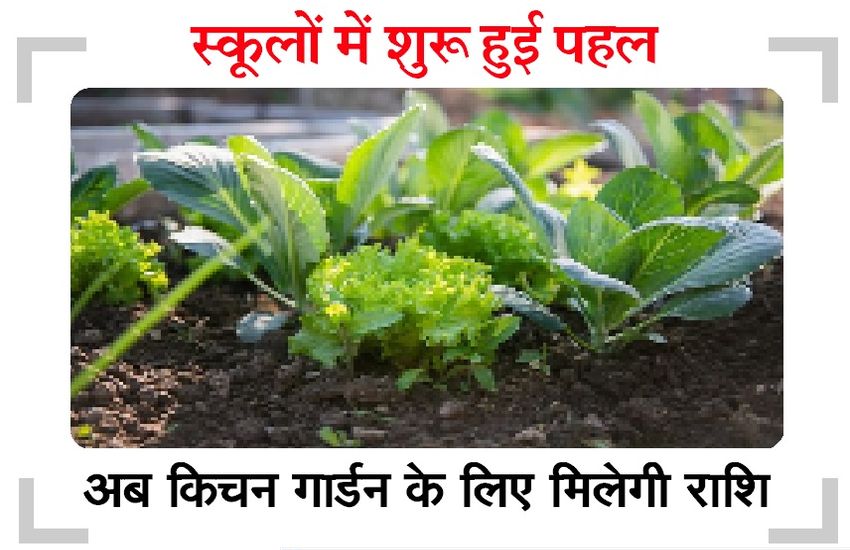 ताजा सब्जियों से महकने लगे 'शिक्षा के मंदिर, बच्चों में बढ़ा रहे खेती-पर्यावरण के प्रति रुचि