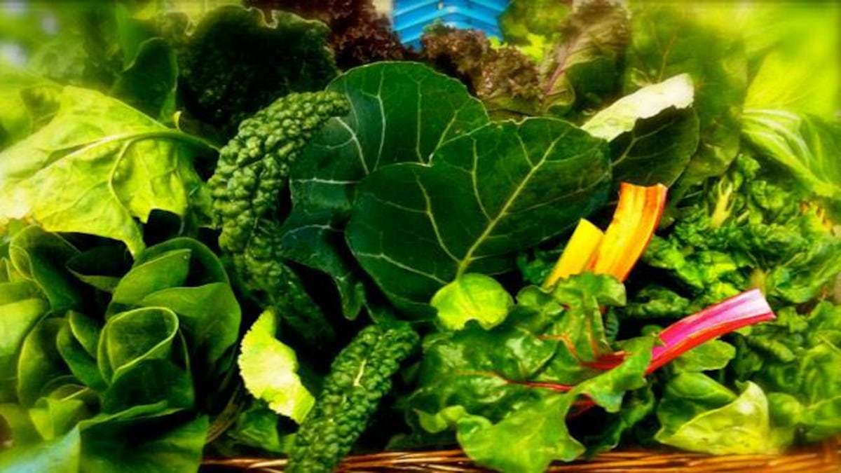 green leafy vegetables