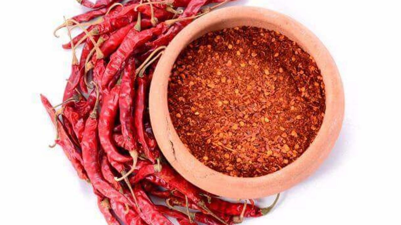 Health Tips: लाल मिर्च का ज्यादा सेवन करते हैं तो हो जाइए सावधान,इन बीमारियों के हो सकते हैं शिकार
