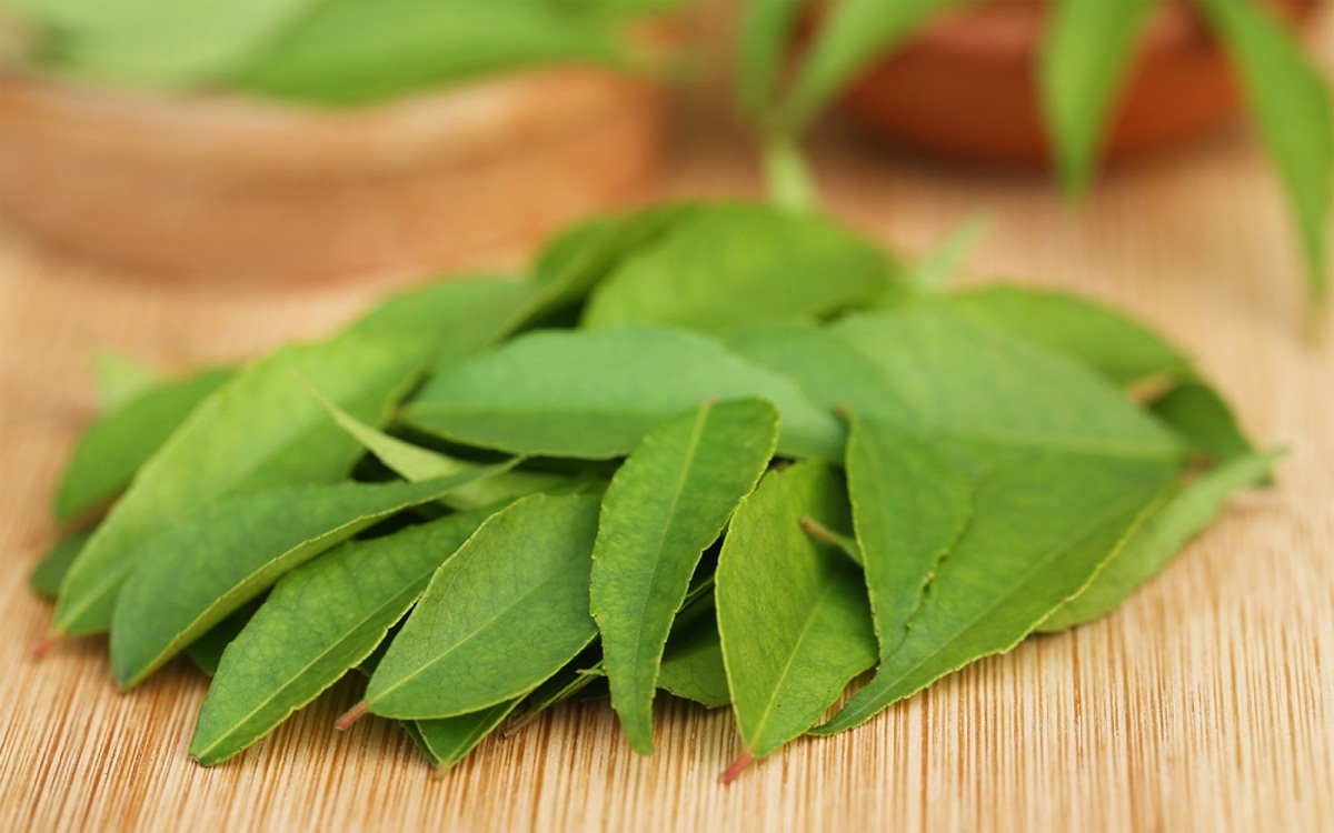 Benefits of Curry Leaves: आइए जानते हैं करी के पत्ते के फायदे, जो स्वास्थ्य के लिए बहुत ही फायदेमंद होता है