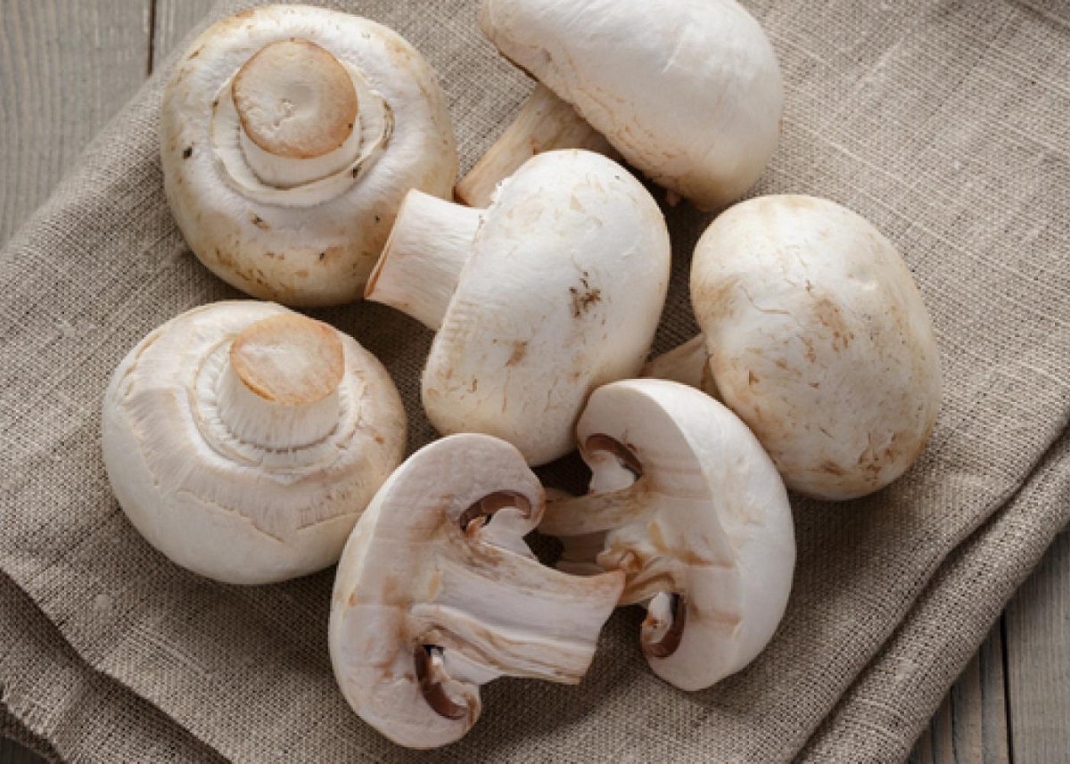 Mushroom Benefits: खुद को हमेशा स्वस्थ रखने के लिए डाइट में जरूर शामिल करें मशरूम