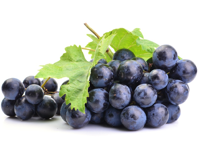 Benefits of Black Grapes: जानिए रोजाना काले अंगूर खाने से हमारे शरीर को मिलते हैं ये अद्भुत फायदे, जिसे जानकर आप हैरान रह जाएंगे