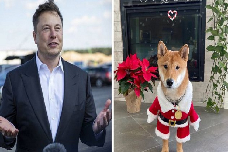 Elon Musk Tweet About His Dog Floki Drives 4000 Percent Surge In Cryptocurrency With Same Name