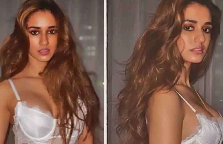 disha_p.jpg