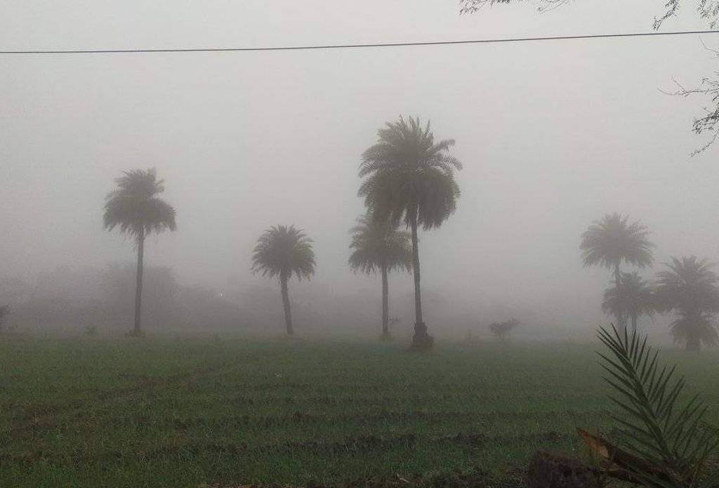 pratapgarh weather-कांठल में घने कोहरे ने रोकी रफ्तार