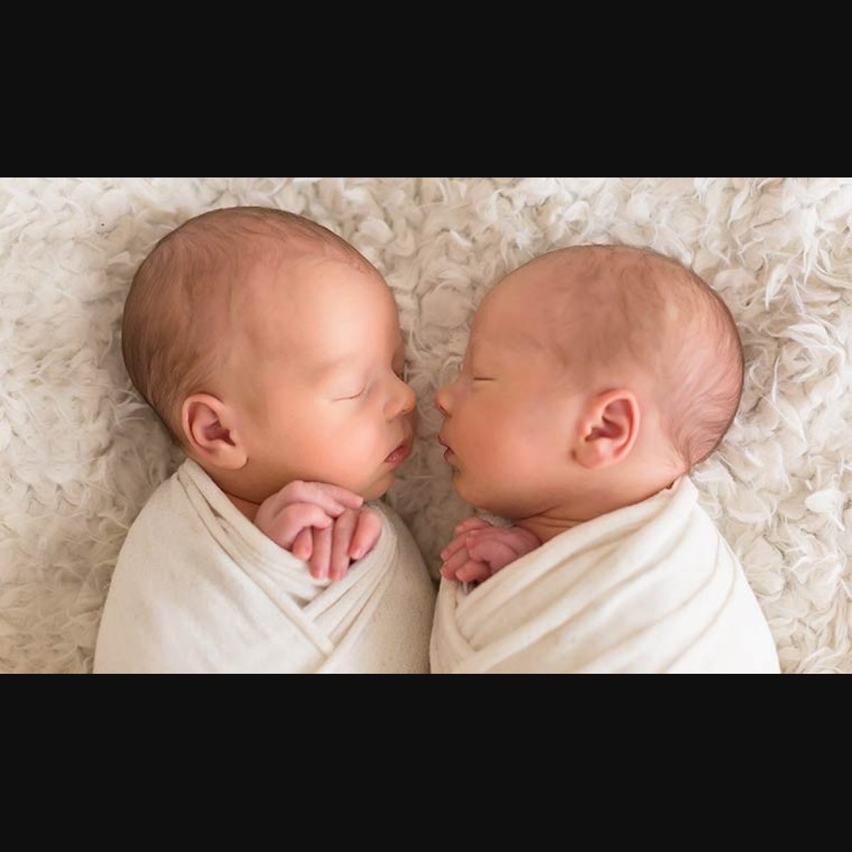 things research from twins taught us about health, behaviour