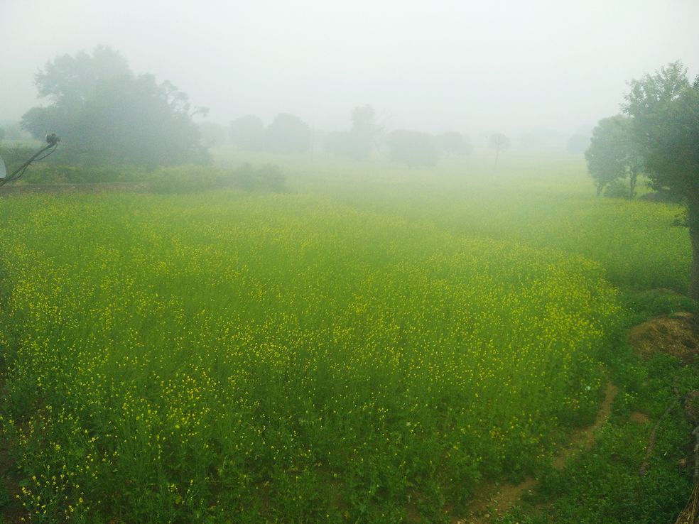 दिनभर छाए बादल शाम को बरसे, सर्दी बढी, फसलों को होगा फायदा