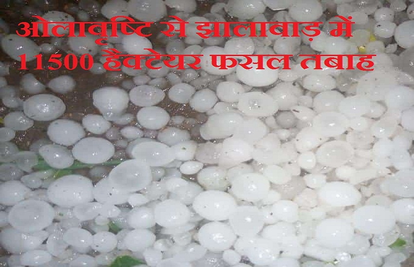 Weather- कड़ाके की सर्दी का दौर जारी, एक से नौ डिग्री सेल्सियस तक गिरा पारा