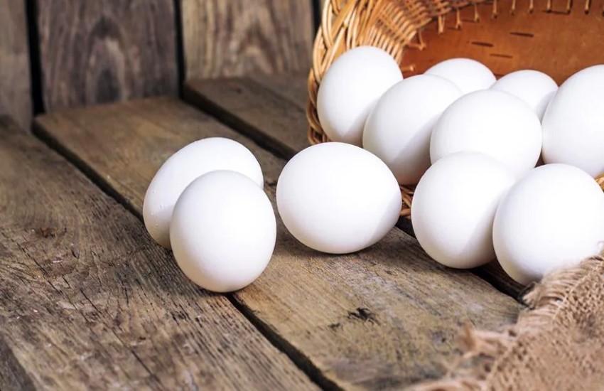 egg_rate_today_new.jpg