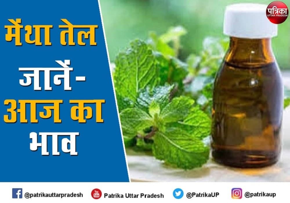 Mentha Oil Rate Mentha Oil Price Today : मेंथा ऑयल निवेशकों ने राहत की सांस ली, जानें-आज का Mint Oil Price