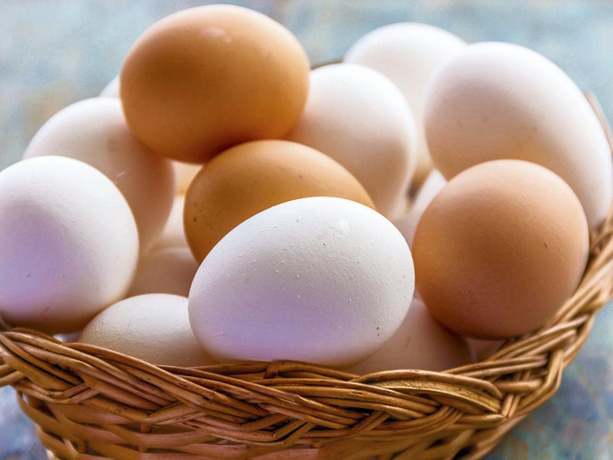 Health Tips: अंडे के साथ न करें इन चीजों का सेवन सेहत को हो सकते हैं कई नुकसान