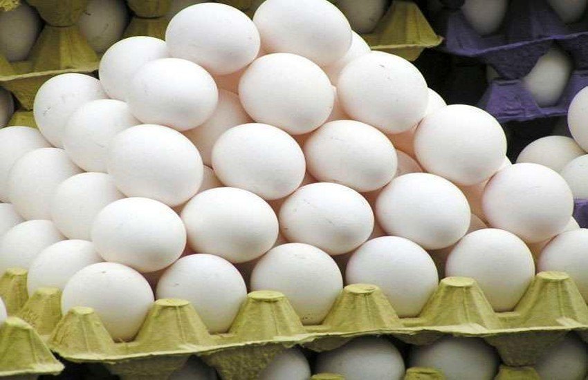 egg_rate_today_new_one.jpg