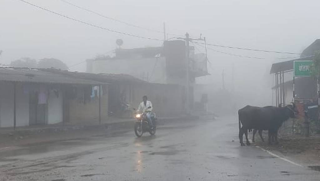 pratapgarh weather-धुंध और शीतलहर ने कांठल को जकड़ा