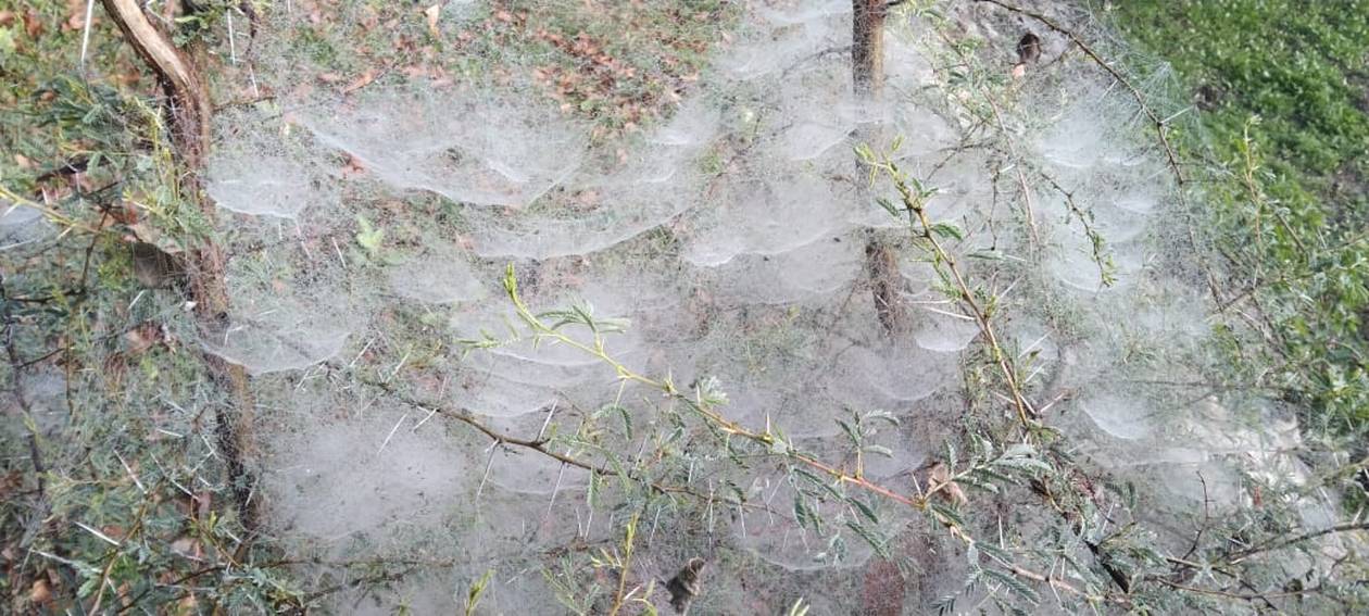 pratapgarh weather-शीतलहर से छूटी धूजणी-कई जगह जमने गली बर्फ