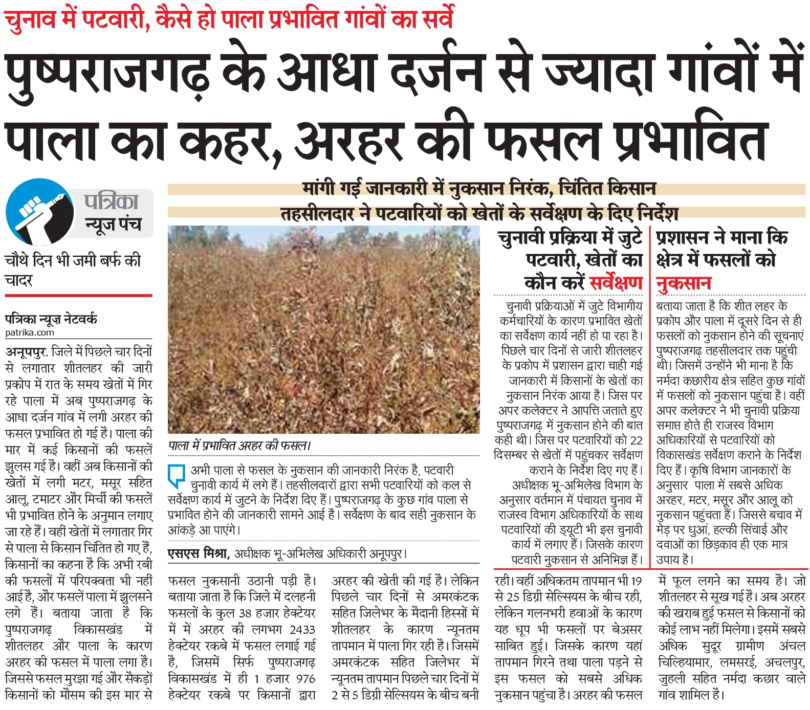 Hail hit 38 villages of Pushprajgarh, tur crop of 1007 farmers got rui