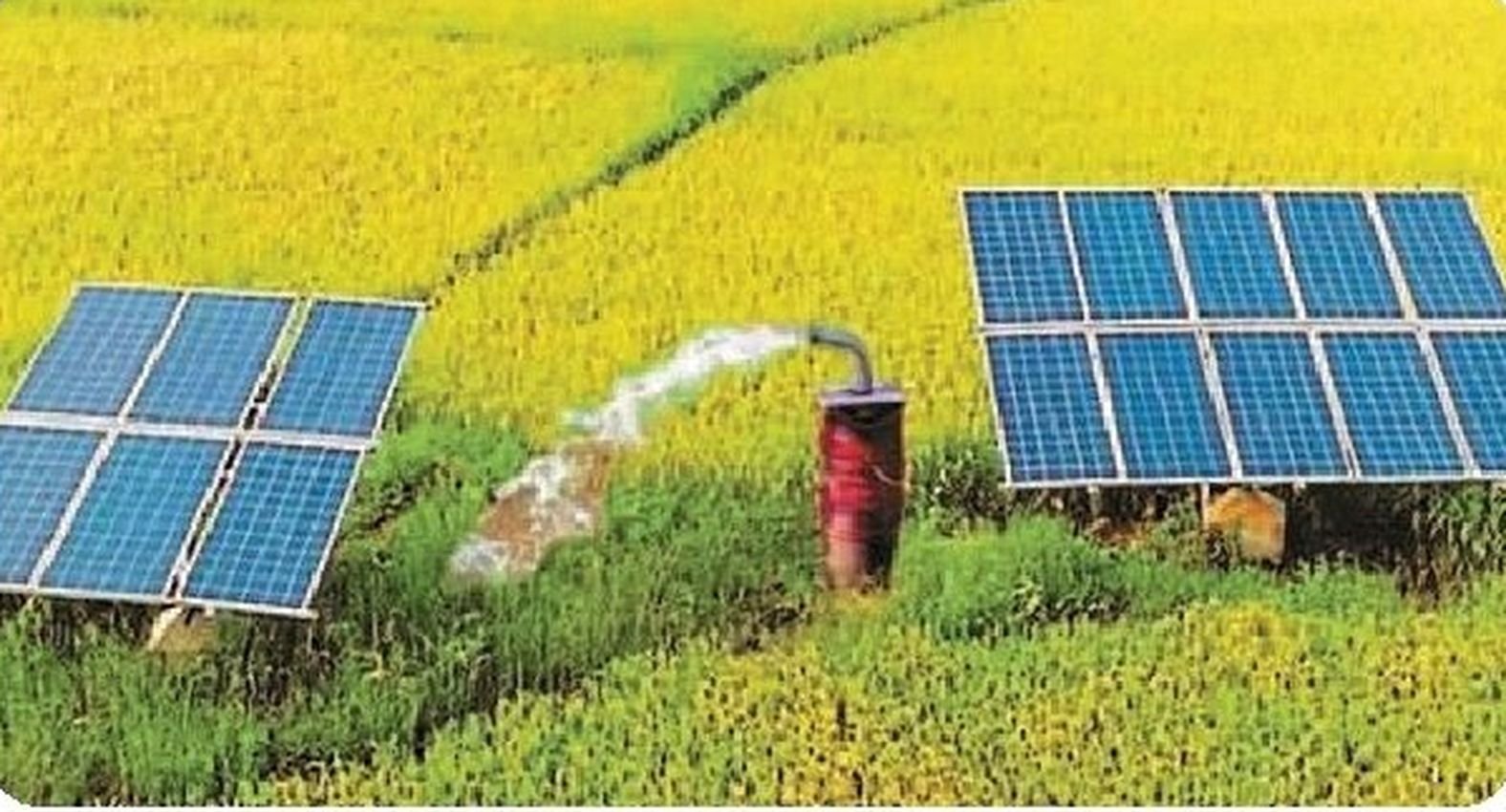 Solar Energy- अब सौर ऊर्जा हरेगी धरतीपुत्रों की पीड़ा, सोलर एनर्जी से खेतों को सींचने की हुई शुरुआत