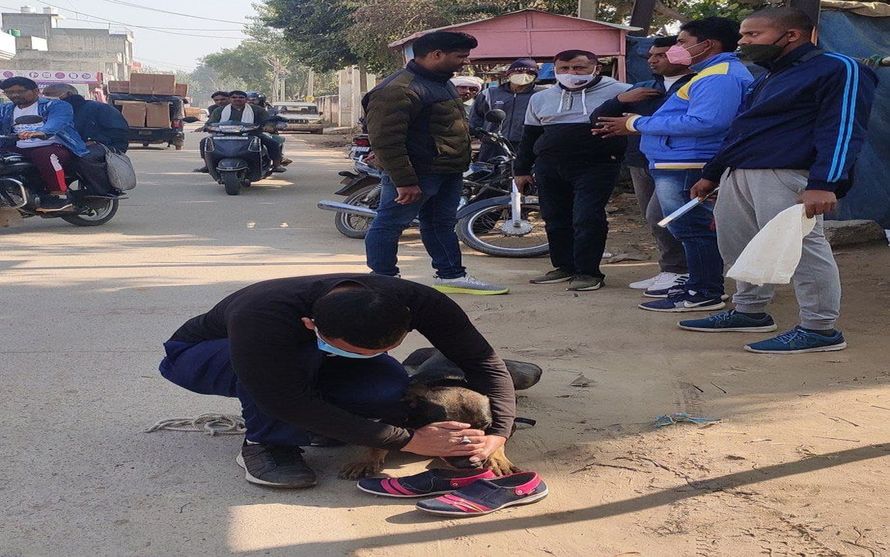 दरिंदगी का दर्द से कहराह रही पीडि़ता: अस्पताल में मोबाइल से 'निर्भया का मन बहलाने की कोशिश