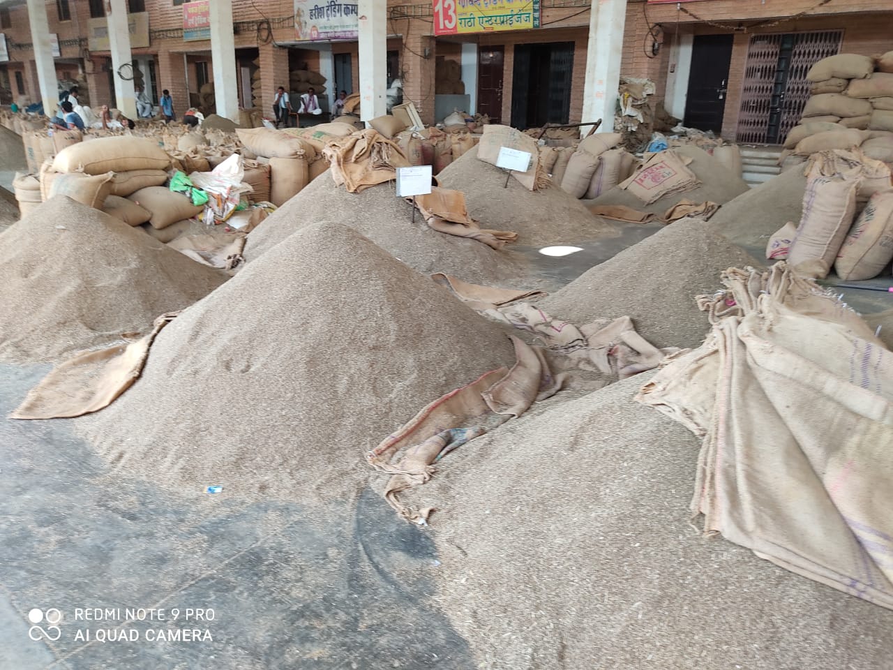 जीरा मंदा, ग्वार-गम सामान्य