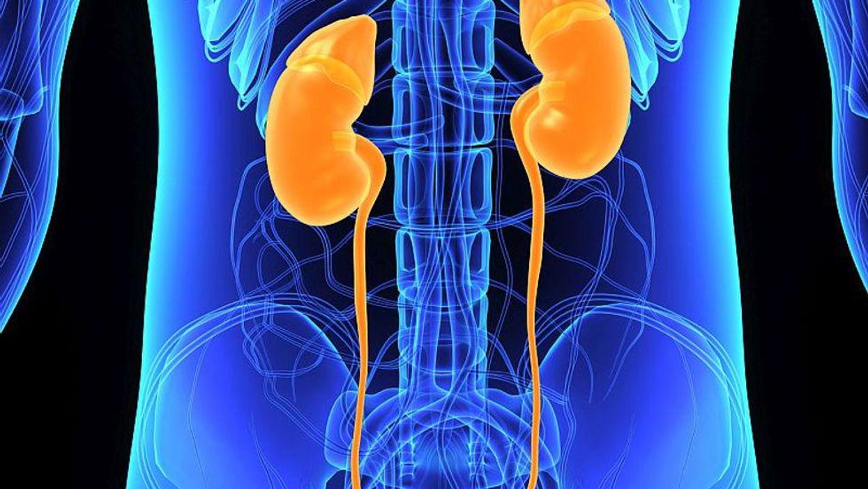 Kidney Health: जानिए इन आदतों के बारे में जो किडनी को पंहुचा सकती है नुकसान