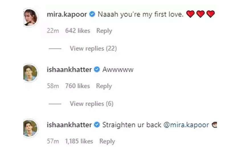 screen_shot_meera_rajput_comment.jpg