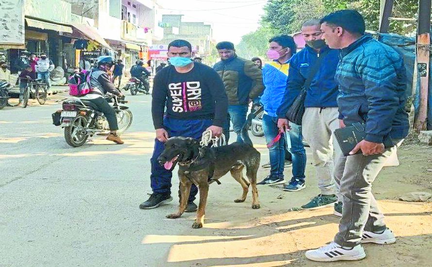 अब एसएसबी के 'ट्रैकर डॉग्स जुटे दरिंदों की तलाश में !