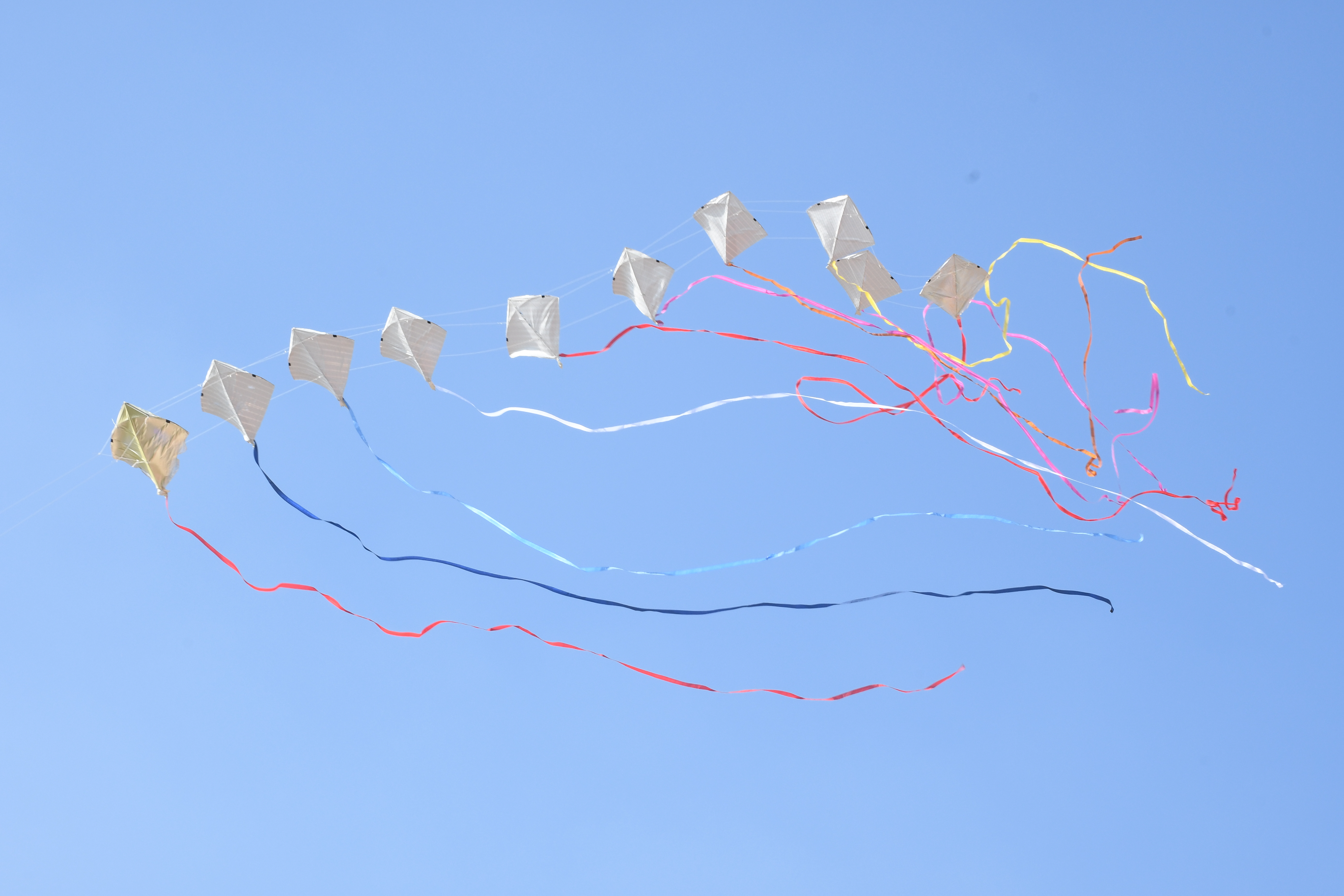 Ajmer kite festival 2022