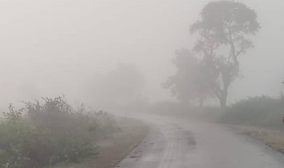 weather-दिनभर चली शीतलहर, बनी रही ठिठुरन