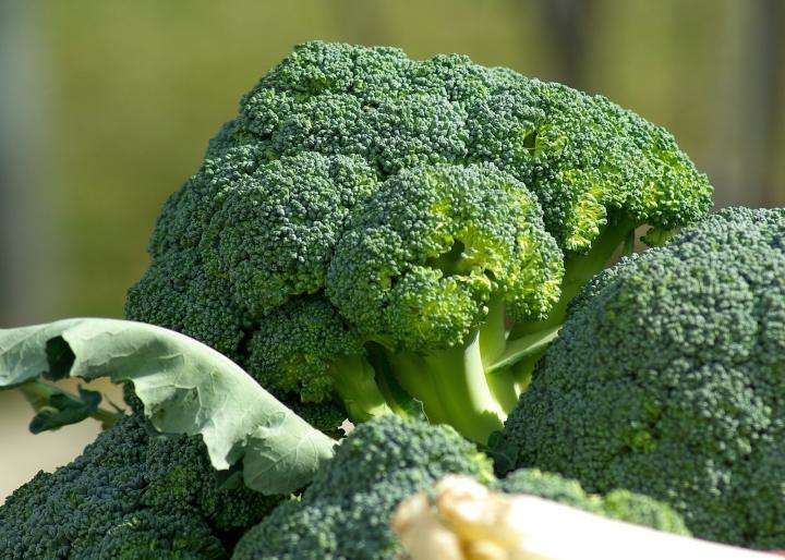broccoli-head_full_width.jpg