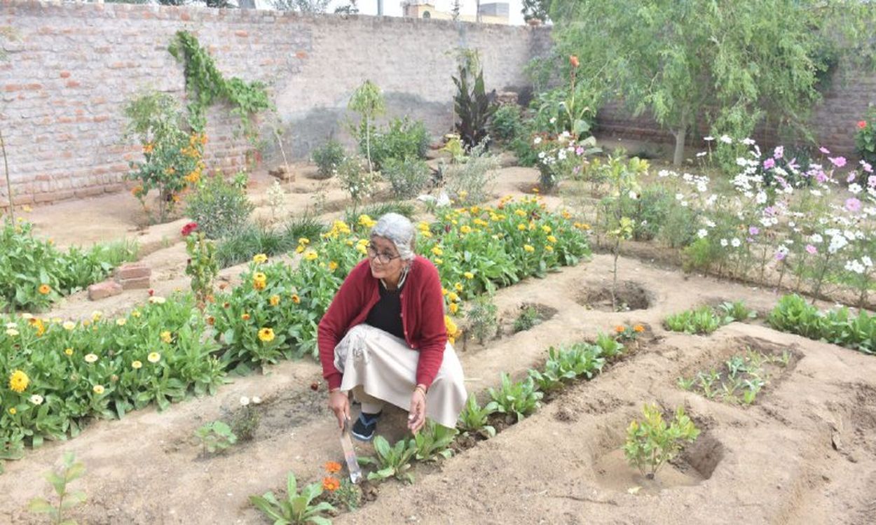 68 की उम्र में 'नानी' ने तैयार कर डाला किचन गार्डन