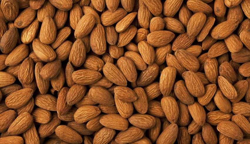 almondsbackground-850x491.jpeg